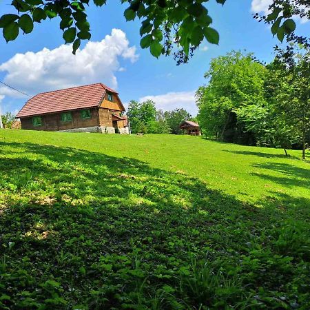 Villa Bakina Iza Duga Resa Exterior foto