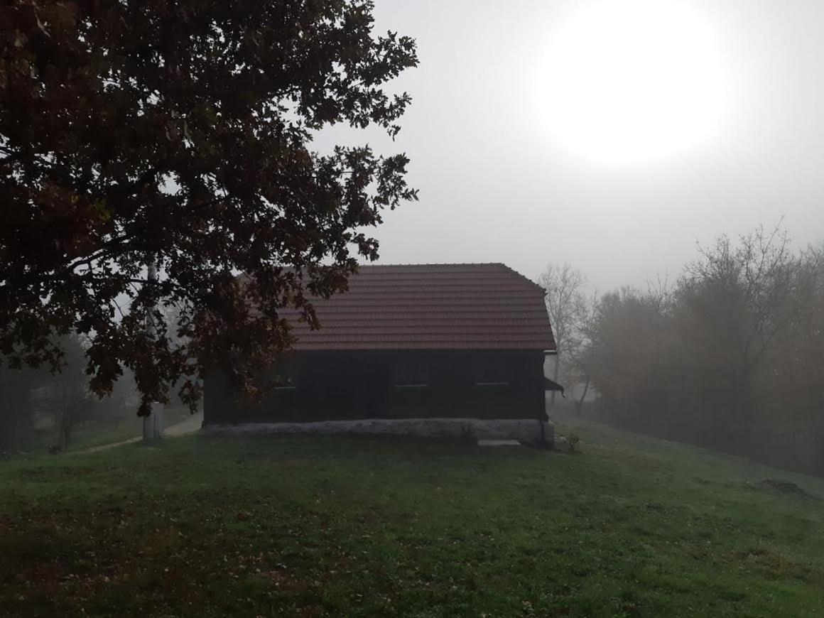 Villa Bakina Iza Duga Resa Exterior foto