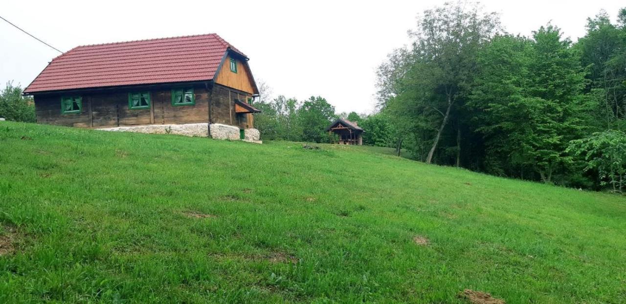Villa Bakina Iza Duga Resa Exterior foto