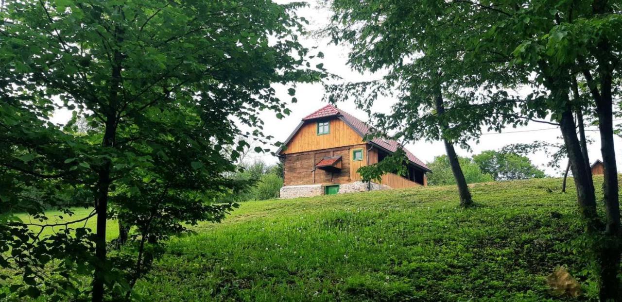 Villa Bakina Iza Duga Resa Exterior foto
