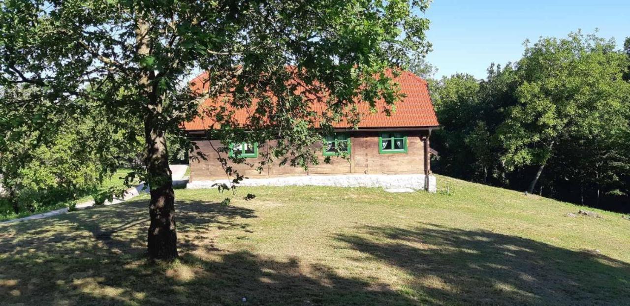 Villa Bakina Iza Duga Resa Exterior foto