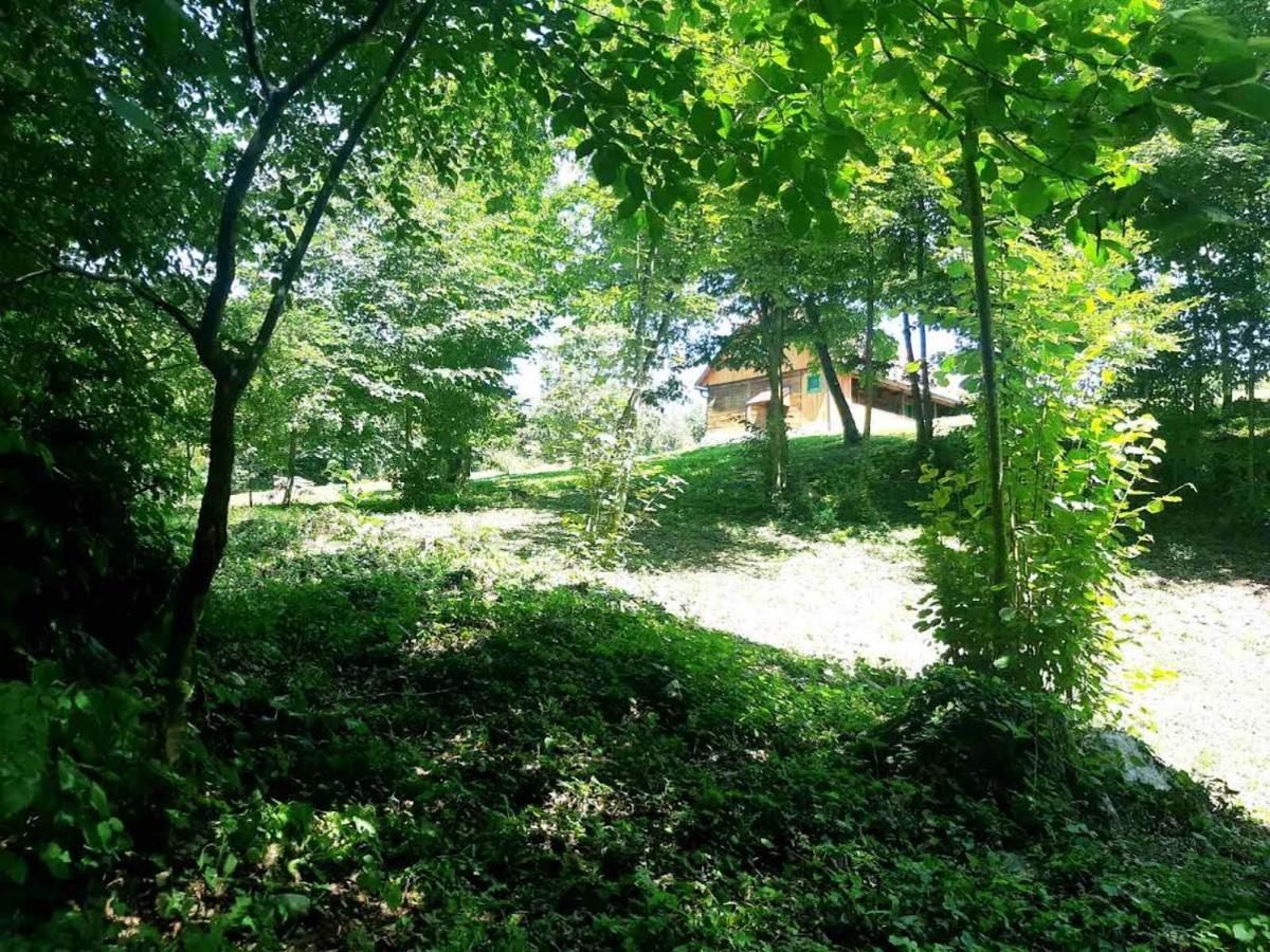 Villa Bakina Iza Duga Resa Exterior foto