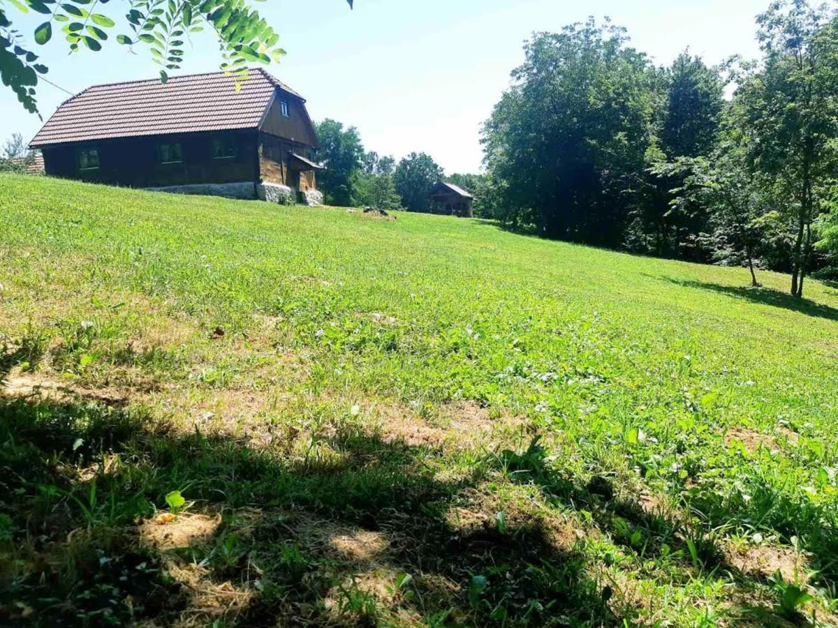 Villa Bakina Iza Duga Resa Exterior foto