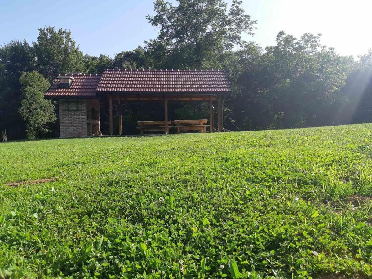 Villa Bakina Iza Duga Resa Exterior foto
