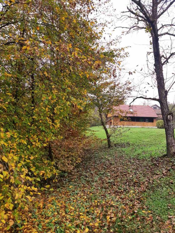 Villa Bakina Iza Duga Resa Exterior foto