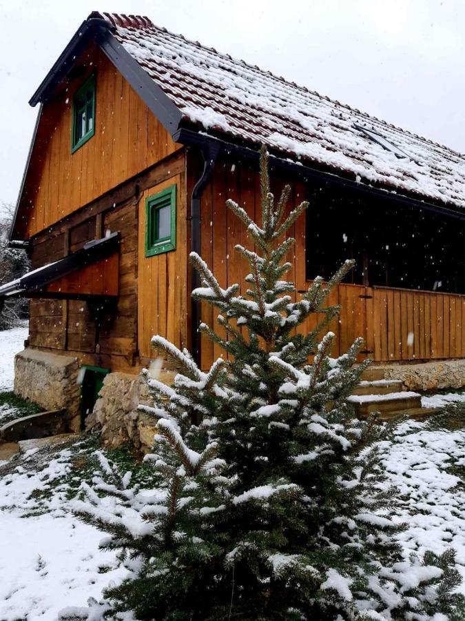 Villa Bakina Iza Duga Resa Exterior foto