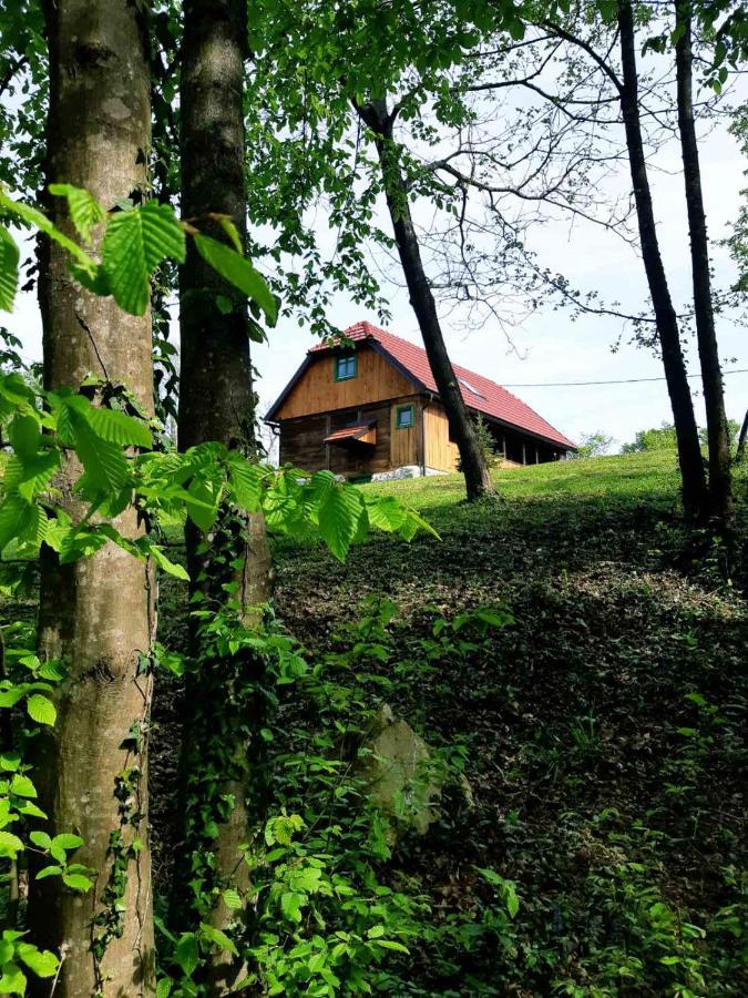 Villa Bakina Iza Duga Resa Exterior foto