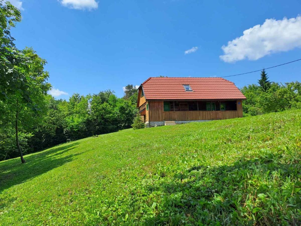 Villa Bakina Iza Duga Resa Exterior foto