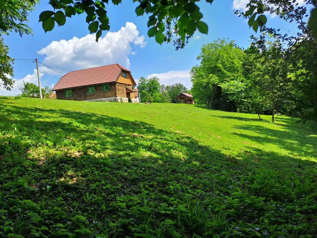 Villa Bakina Iza Duga Resa Exterior foto